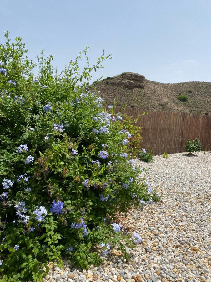 Cortijo Perejil, A Tranquil Mountain Escape & Private Pool Apartment Oria Exterior foto