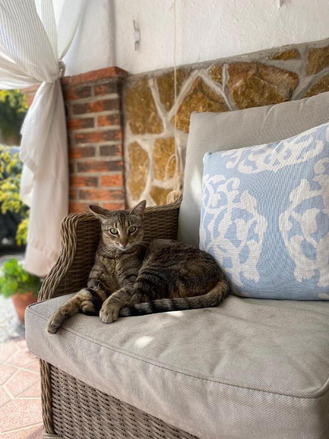 Cortijo Perejil, A Tranquil Mountain Escape & Private Pool Apartment Oria Exterior foto